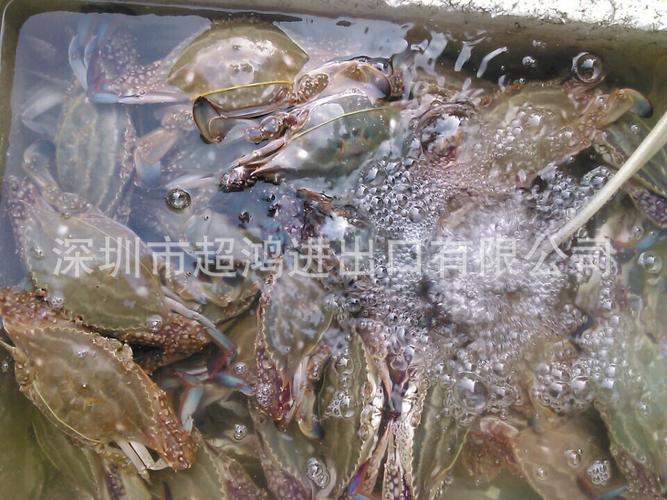 深圳市超鸿进出口